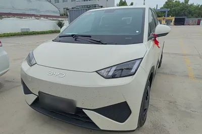 BYD Seagull