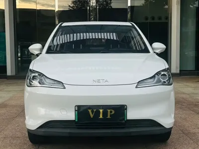 NETA Neta V