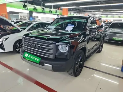Haval Menglong New Energy