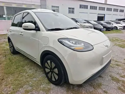 Wuling Bingo