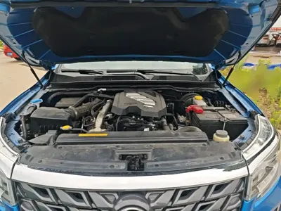 Dongfeng Rich 7