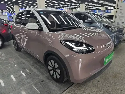 Wuling Bingo