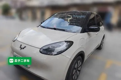 Wuling Bingo