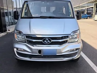 Maxus V80