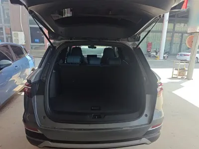 BYD Pro