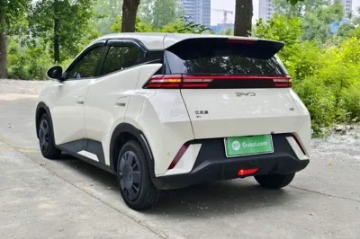 BYD Seagull