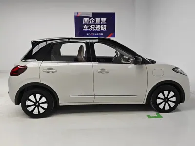 Wuling Bingo