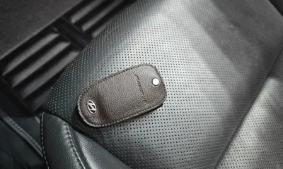 Hyundai Maxcruz
