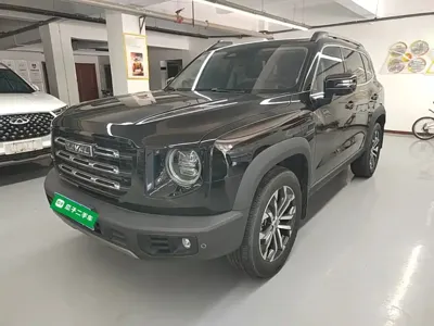 Haval Big Dog