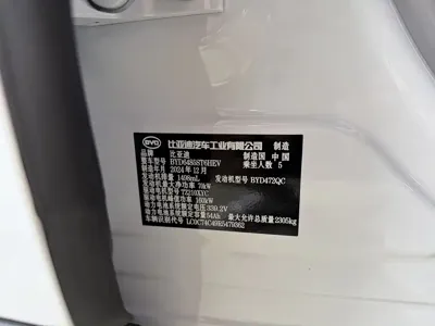 BYD L DM-i
