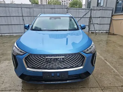 Haval Chulian