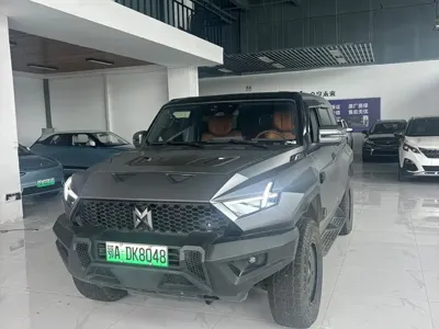 Mengshi Mengshi 917