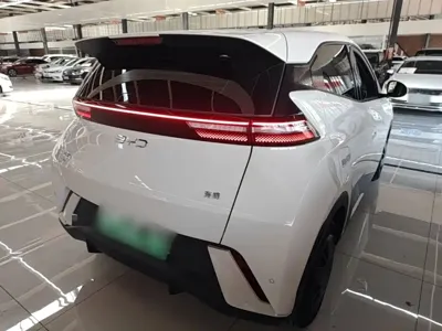 BYD Seagull