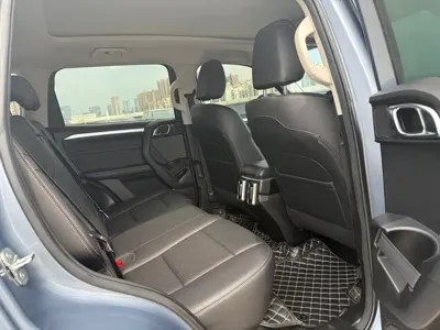 Haval Big Dog