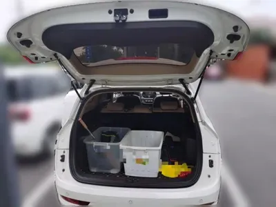 Baojun 310W