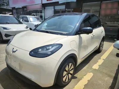 Wuling Bingo