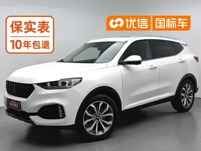 WEY Wey VV6