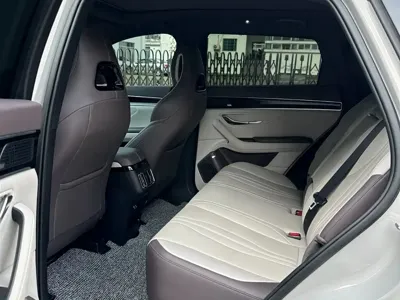 BYD PLUS New Energy