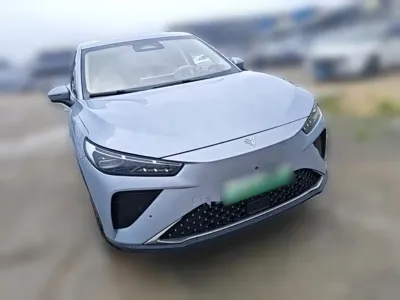 NETA Neta L