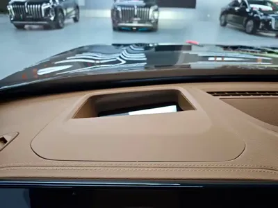 Hongqi Hongqi H9