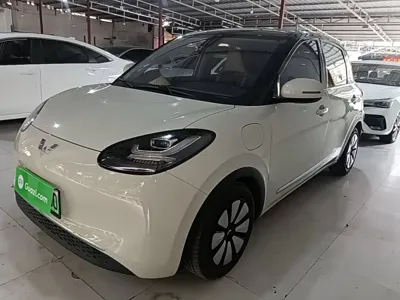 Wuling Bingo