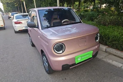 Geely Galaxy Panda