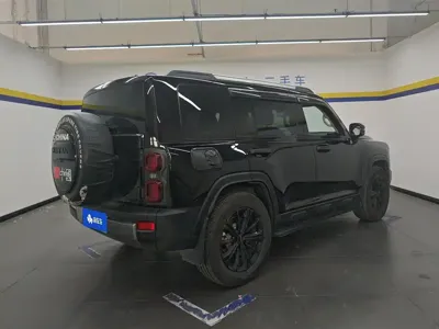 Haval Menglong New Energy