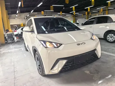 BYD Seagull