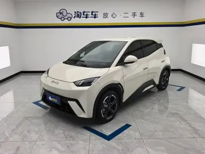 BYD Seagull