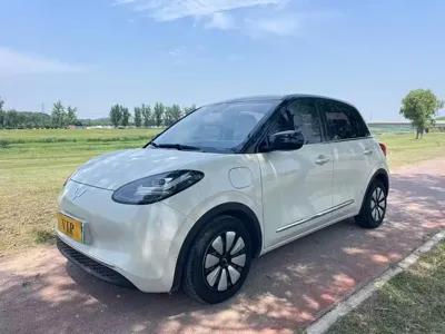 Wuling Bingo