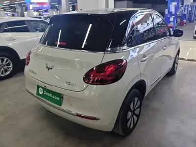 Wuling Bingo