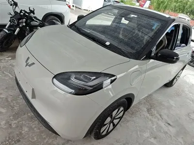 Wuling Bingo