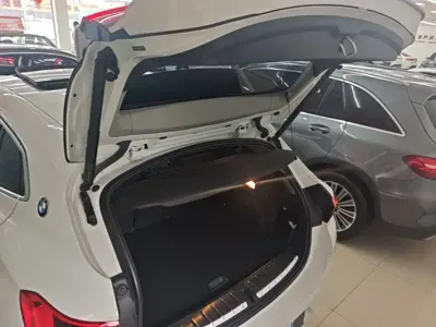 BMW X2 (Import)