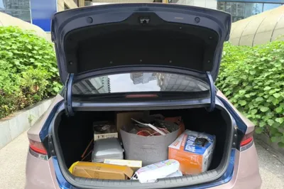 Hyundai Lafesta
