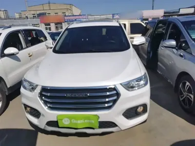 Haval H2
