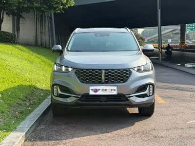 WEY Wey VV6