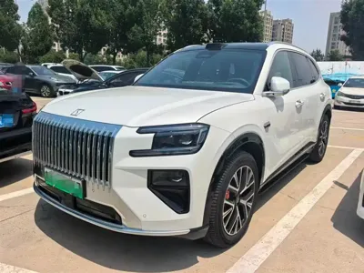 Zeekr 极氪8X