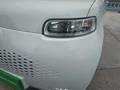ORA Ora White Cat