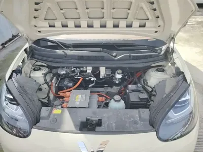 Wuling Bingo