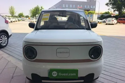 Geely Galaxy Panda