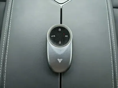 NETA Neta S