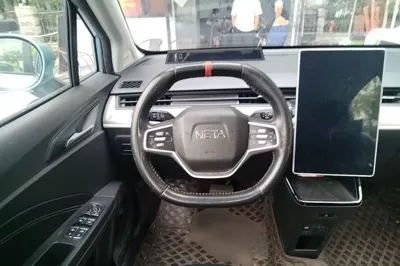 NETA V