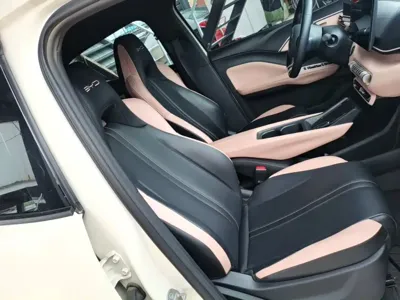 BYD Seagull