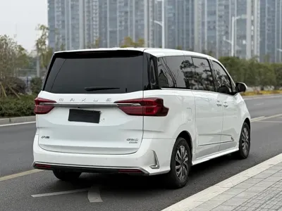 大通 G20