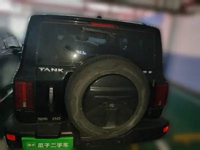 Tank 300