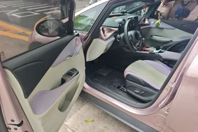 BYD Dolphin