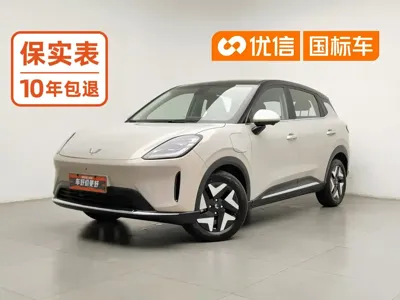 Wuling 缤果S