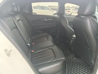 GAC Motor Shadow Leopard