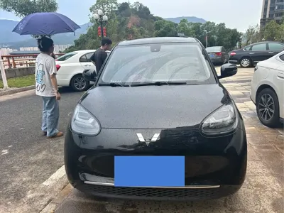 Wuling Bingo