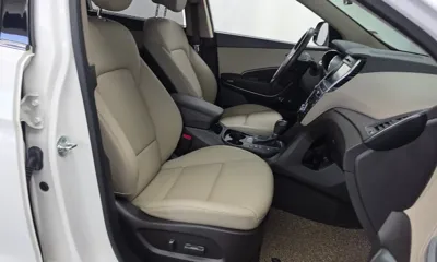 Hyundai Maxcruz